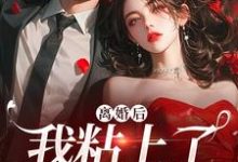 离婚后，我粘上了那位大佬小说最新章节在哪里可以免费看-蔬菜文学