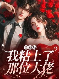 离婚后，我粘上了那位大佬小说最新章节在哪里可以免费看