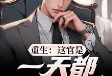 重生：这官是一天都不想当了（梁惟石唐欣怡）完结版免费阅读-蔬菜文学