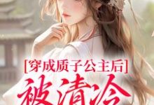 小说穿成质子公主后,被清冷太子宠了!主角阮今禾殷珩免费阅读-蔬菜文学