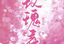 跪求主角是叶商商池眘的小说书名叫什么-蔬菜文学