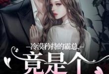 冷漠矜持的霸总，竟是个纯爱战士免费阅读，宋诗予段斯昀大结局无弹窗-蔬菜文学