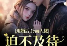 主角是黎九霍骁的小说退婚后，冷面大佬迫不及待要娶我在哪免费看-蔬菜文学