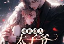 夜色撩人，太子爷为她乱了心（楚璃徐砚周）最新章节在线阅读-蔬菜文学