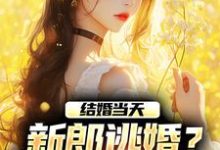 商悠悠霍元琛最新章节结婚当天,新郎逃婚?我当场改嫁!免费阅读-蔬菜文学