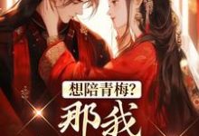 想陪青梅？那我直接改嫁（苏亦闻叶子清）最新章节在线阅读-蔬菜文学