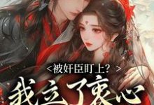 被奸臣盯上？我立了衷心小弟人设！热门小说(秦烟年沈知也)在线阅读无弹窗-蔬菜文学