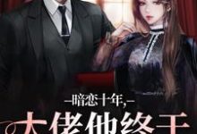 求助这本暗恋十年，大佬他终于持证上岗了小说在哪里可以看完结版-蔬菜文学