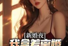 新婚夜，我拿着离婚协议黯然离场精彩章节在线免费阅读（叶修远白若雪）-蔬菜文学