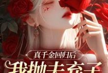 精彩章节阅读真千金回归后，我抛夫弃子独自美丽(苏黎陆敬煊)免费小说在线看-蔬菜文学
