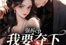 强拆cp，我要夺下这总裁热门小说(商扶砚符诱安)在线阅读无弹窗-蔬菜文学