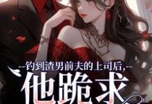 钓到渣男前夫的上司后，他跪求放过（苏锦萧云锋）最新章节免费在线阅读-蔬菜文学