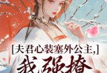 主角是叶锦意萧凛渊的小说夫君心装塞外公主，我强撩也能到手在哪免费看-蔬菜文学