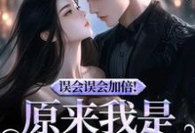 误会误会加倍！原来我是他的挚爱（宁穗季晏辞）最新章节在线阅读-蔬菜文学