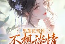 精彩章节阅读黑莲花驾到，不想谈情只想晋升(宁司寒林妩)免费小说在线看-蔬菜文学
