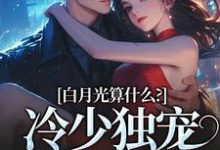 白月光算什么？冷少独宠拍卖师！大结局，宋词慕景川小说无广告阅读-蔬菜文学