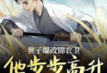 精彩章节阅读世子爆改锦衣卫，他步步高升成大佬(林凡秦慧)免费小说在线看-蔬菜文学