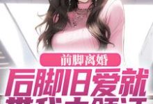 陆沉苏婉清小说免费阅读最新章节列表，前脚离婚，后脚旧爱就带我去领证小说在线看-蔬菜文学