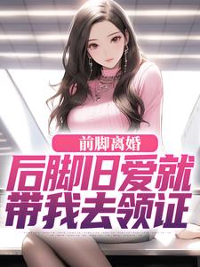 陆沉苏婉清小说免费阅读最新章节列表，前脚离婚，后脚旧爱就带我去领证小说在线看
