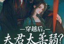 跪求主角是沈微萧御衡的小说书名叫什么-蔬菜文学