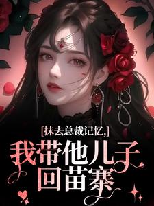 抹去总裁记忆，我带他儿子回苗寨（裴景澈梨尤笙）最新章节在线阅读