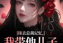 抹去总裁记忆，我带他儿子回苗寨（主角裴景澈梨尤笙）完结版免费阅读-蔬菜文学