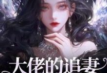 大佬的追妻火葬场：晚了，姐不稀罕免费阅读(姜沁笙纪怀舟)小说免费读最新章节-蔬菜文学