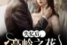 失忆后,高岭之花他又撩又哄在线看,黎漾裴政臣小说大结局在哪免费看-蔬菜文学