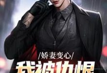 (全文)娇妻变心，我被仇恨占据了全身（路无铭）免费小说娇妻变心，我被仇恨占据了全身试读更新章节-蔬菜文学