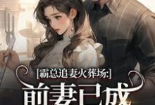 (全文)霸总追妻火葬场：前妻已成人间富贵花秦桑傅霆深最新完结小说霸总追妻火葬场：前妻已成人间富贵花免费阅读-蔬菜文学