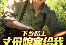 下乡路上，丈母娘塞给我一车嫁妆（林辰宋雨）全本书籍阅读下乡路上，丈母娘塞给我一车嫁妆完整版小说-蔬菜文学