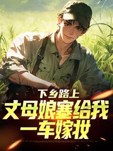 (全文)下乡路上，丈母娘塞给我一车嫁妆免费小说全本，林辰宋雨试读更新章节