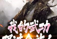 完了！我的武功强过全族人完整版小说，完了！我的武功强过全族人林枫苏清雪试读更新章节-蔬菜文学