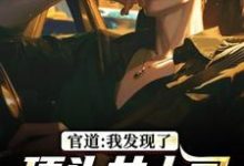 官道：我发现了顶头女上司的秘密推荐完结小说官道：我发现了顶头女上司的秘密(徐青胡丽娜)免费小说全本-蔬菜文学