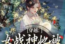 (全文)穿越：女战神她被尊主俘获了（云澜夜无溟）免费小说穿越：女战神她被尊主俘获了试读更新章节-蔬菜文学