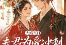 (全文)大婚当日，夫君为爱冲刺救白月光热门小说排行榜，大婚当日，夫君为爱冲刺救白月光林菀堂萧睿川全章小说阅读-蔬菜文学