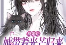 离婚后她带着光芒归来，总裁悔断肠完整版小说离婚后她带着光芒归来，总裁悔断肠(江念慕南辞)全章小说阅读-蔬菜文学