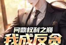 问鼎权利之巅，我成反贪第一人（林东凡沈君兰）全章小说阅读-蔬菜文学