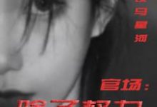 官场:除了权力还有啥(丁俊丰贺征)全章小说阅读-蔬菜文学