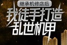 继承机修店后，我徒手打造乱世机甲（苏白苏南天）小说推荐继承机修店后，我徒手打造乱世机甲全章小说阅读-蔬菜文学