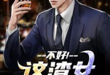 这渣女要虐死了(顾迟云云晚晚)全本书籍阅读这渣女要虐死了完整版小说-蔬菜文学
