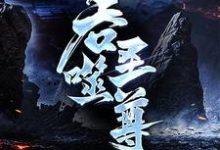吞噬圣尊（夜星寒）全章小说阅读-蔬菜文学