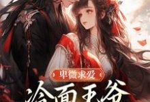 苏如卿赫连渊卑微求爱:冷面王爷只为她轻哄全本免费在线阅读-蔬菜文学