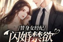 黎湘霍斯然替身女经纪，闪婚禁欲大佬虐渣男全本免费在线阅读-蔬菜文学
