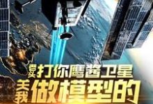 (全文)老头打你鹰酱卫星，关我做模型的什么事秦阳小说推荐，老头打你鹰酱卫星，关我做模型的什么事全章小说阅读-蔬菜文学