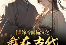 误嫁冷面糙汉之我在古代当小媳妇（苏琴岑殷闵）全本书籍阅读误嫁冷面糙汉之我在古代当小媳妇完整版小说-蔬菜文学