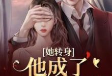 (全文)她转身，他成了不放的疯批陆芷霍征铭全本免费在线阅读-蔬菜文学