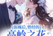 (全文)落魄后，曾经的高岭之花求我爱他(沈在宜祝陈)全本免费在线阅读-蔬菜文学