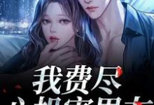 (全文)我费尽心机害男友，他却笑了笑？完结小说推荐黎芷傅嘉正全本书籍阅读-蔬菜文学