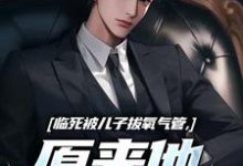 临死被儿子拔氧气管，原来他非亲生（林子阳）小说推荐临死被儿子拔氧气管，原来他非亲生全章小说阅读-蔬菜文学